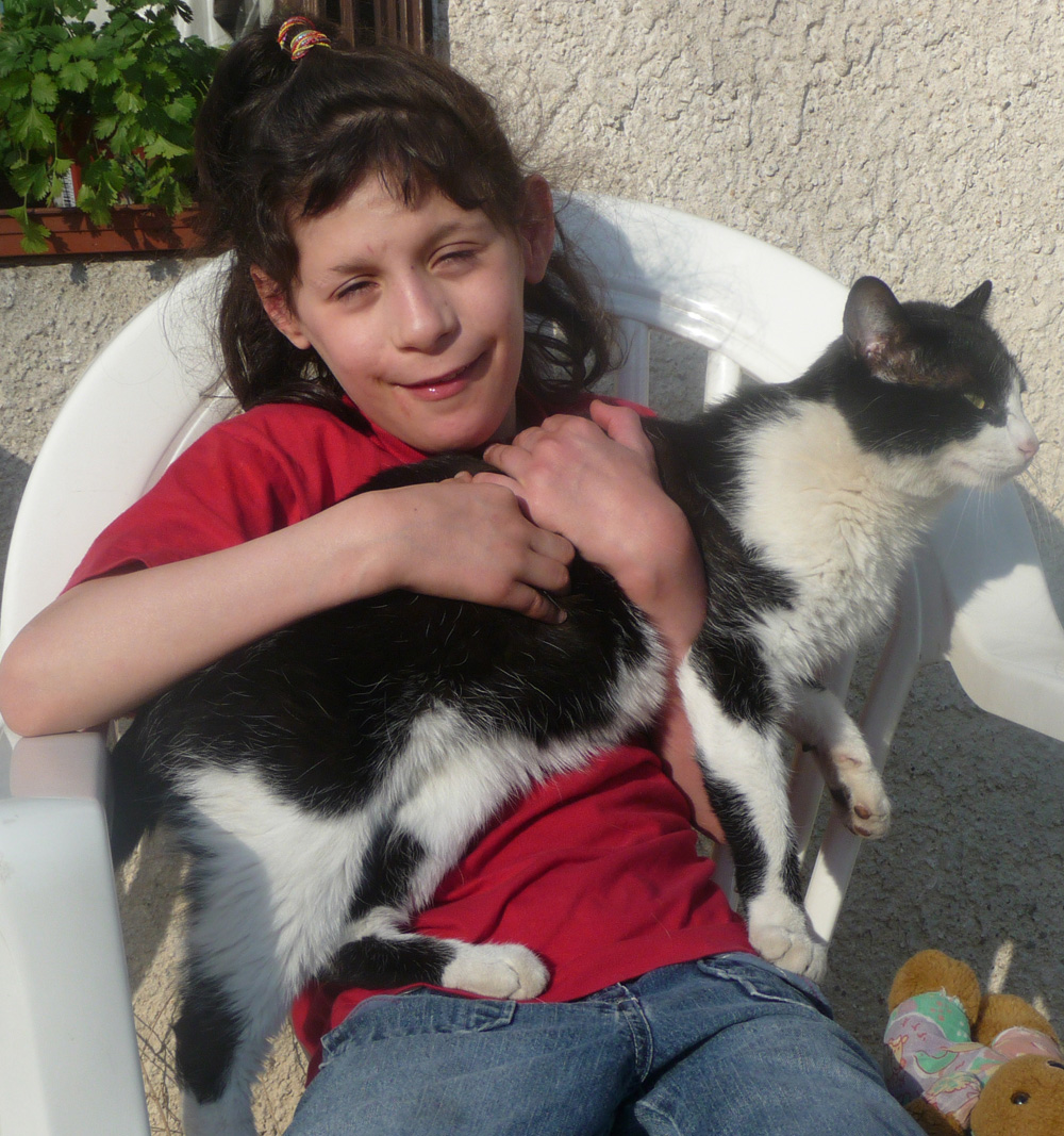 Premiere rencontre chien et chaton