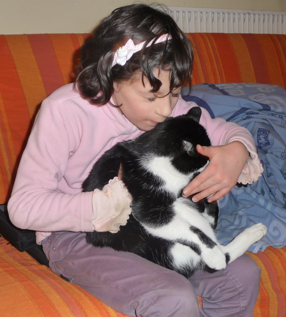 Rencontre et chat