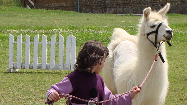 lama-une
