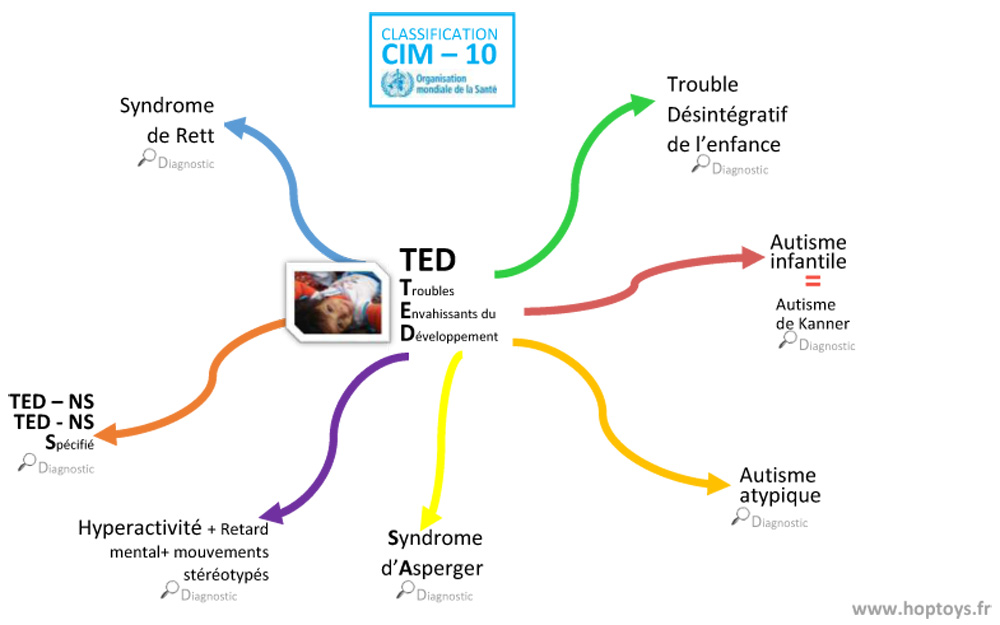 La-classification-des-TED-s