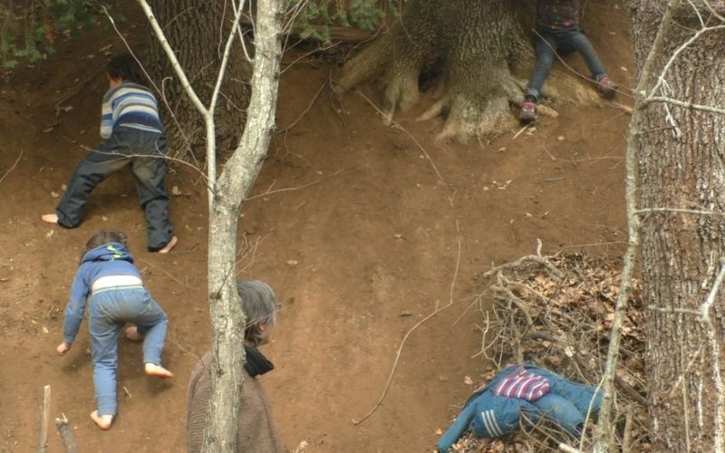 Balade sensorielle en forêt