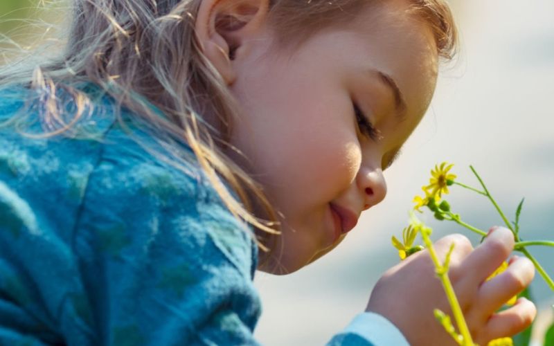 Découverte de la nature par l'enfant