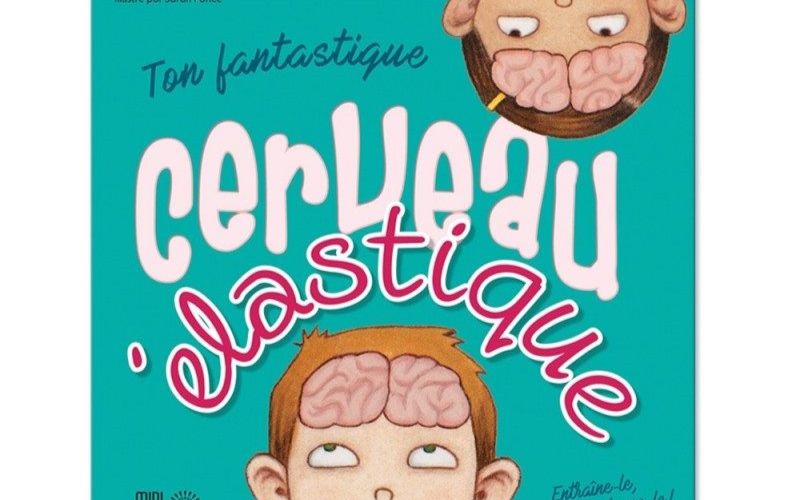 cerveau élastique